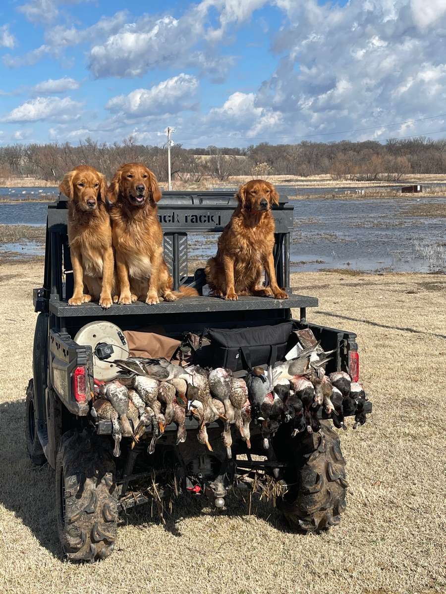 Oklahoma Guided Duck Hunts | All Inclusive Waterfowl Packages | Swamp ...